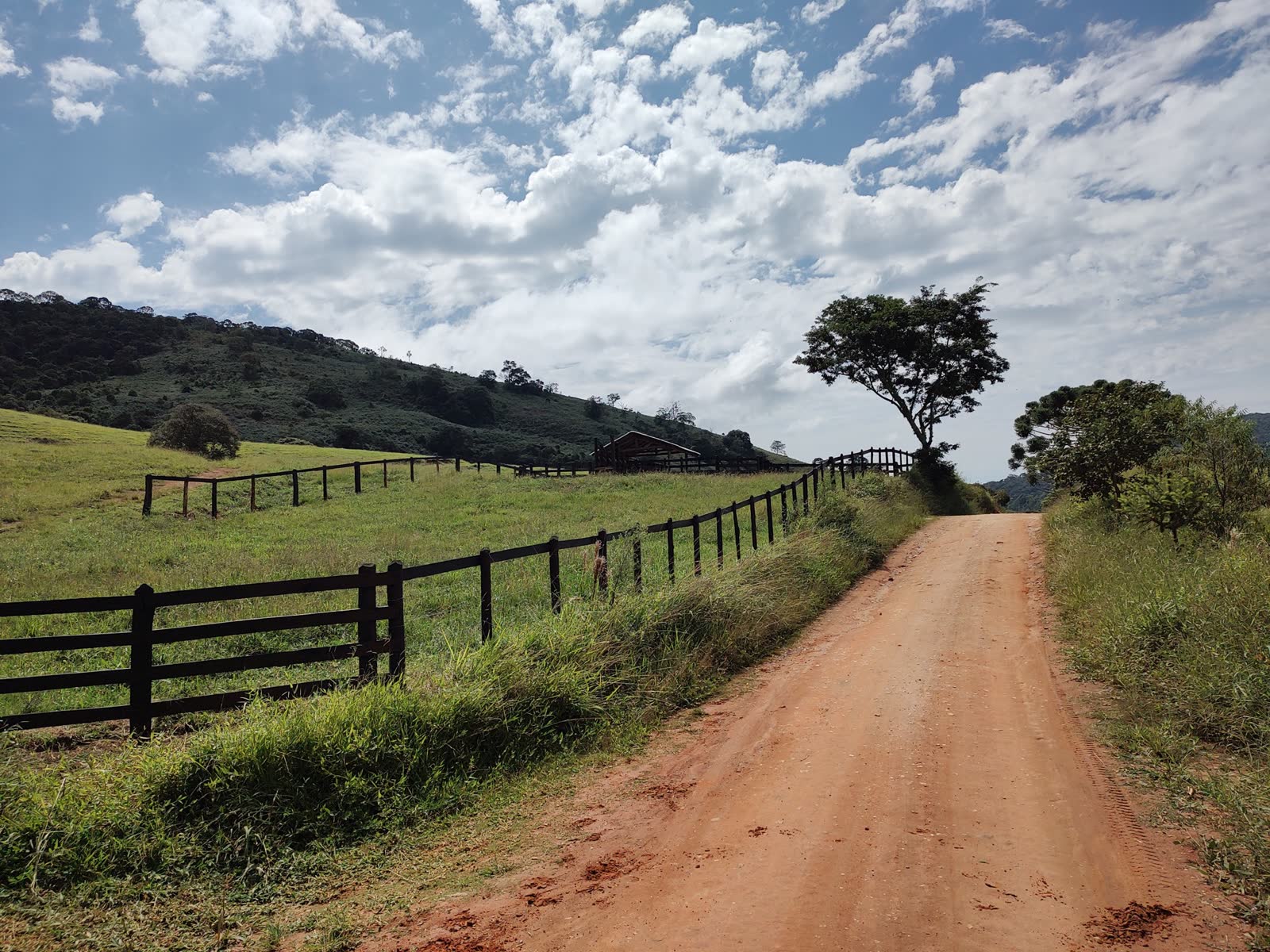 Estrada de terra entre cercas na fazenda, em São Bento do Sapucaí